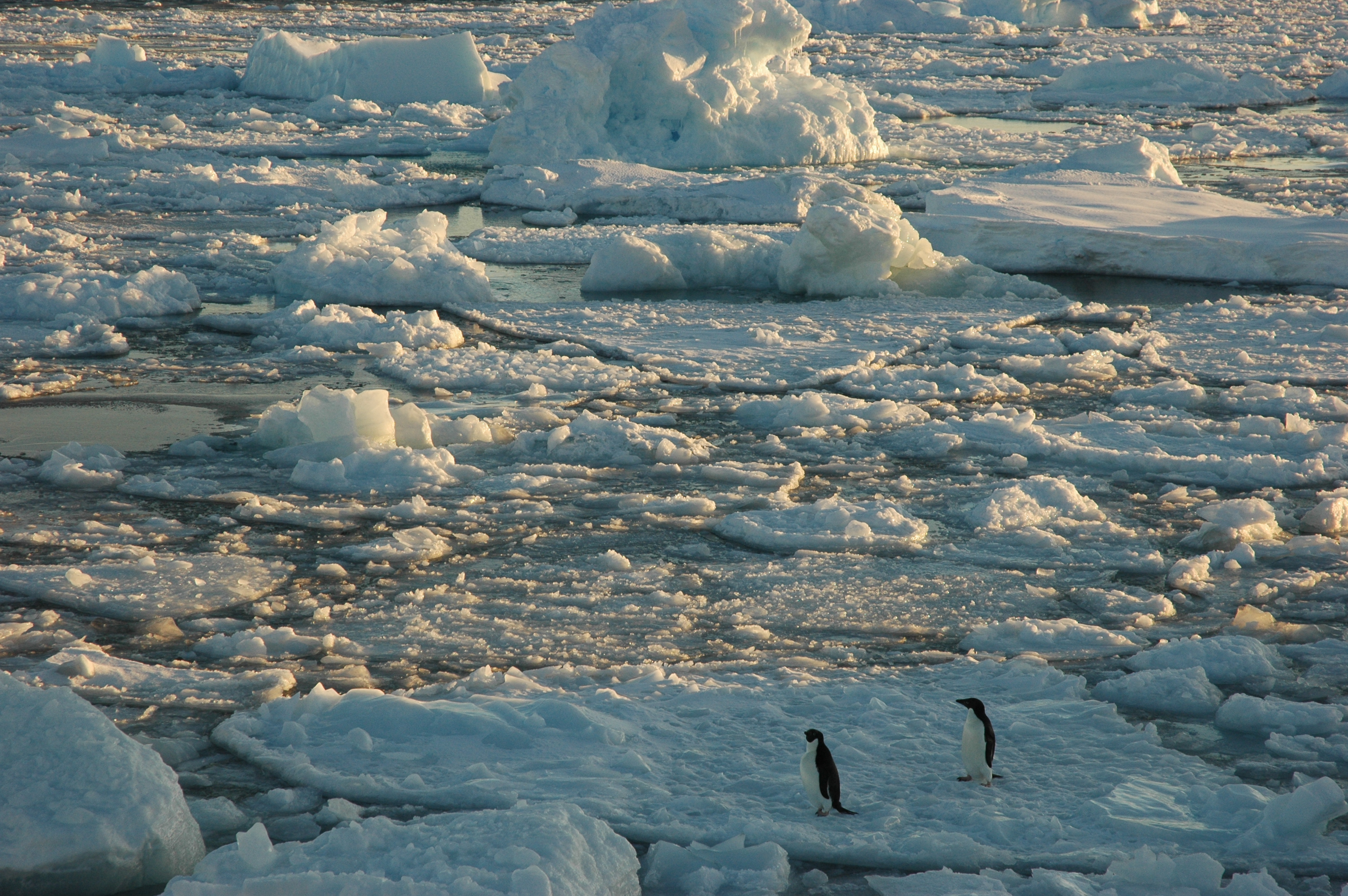 Random Iceberg Photo